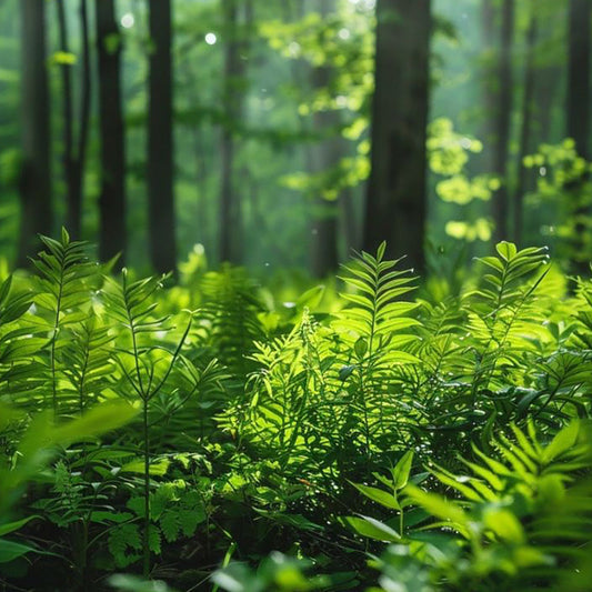 NATURINHALT: Lerne, wie du echte Bio-Hautpflege erkennst und entdecke nachhaltige Produkte für Männer und Frauen. Jetzt in unserem Blog