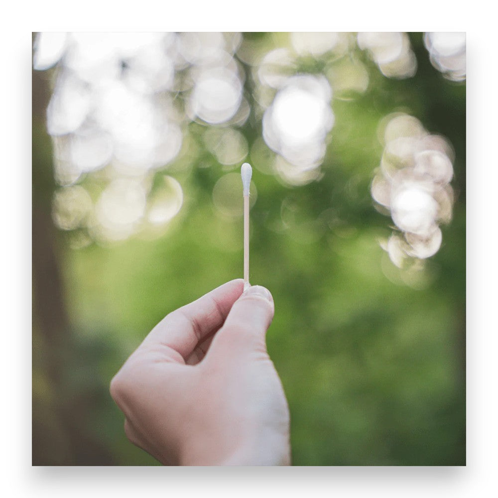 100% kompostierbar und vegan — Bambus, Wattestäbchen, nachhaltig, kompostierbar, Bio-Baumwolle, umweltfreundlich, vegan, Hautpflege, Hygiene, Allergikerfreundlich, Naturinhalt, biorundum