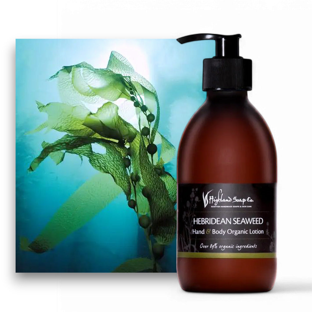 Natürliche Inhaltsstoffe der Lotion - Body Lotion, natürliche Pflege, Meeresalgen, Bio-Kosmetik, Vegane Kosmetik, Hautpflege, Feuchtigkeit, Lavendel, Kamille, Brennnessel, Wellness, Nachhaltigkeit, biorundum, natürliche Inhaltsstoffe, Hautliebe