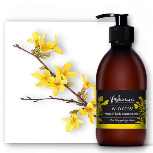 Natürliche Body Lotion mit Aloe Vera und wildem Ginster - Body Lotion, Aloe Vera, Wild Gorse, Hautpflege, Sensitive Haut, Naturkosmetik, Vegan, Tierversuchsfrei, Feuchtigkeitspflege, Hochwertige Inhaltsstoffe, Eco-Friendly, Highland Soap Company, Nachhaltigkeit, Körperpflege, Naturinhalt, biorundum
