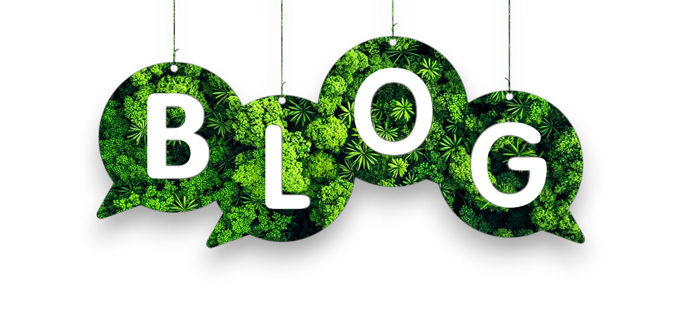 Rundum Blog übeer Naturkosmetik, Naturprodukte und vor allem um viel Naturinhalt. - Naturinhalt, Blog, Rundum Blog, Blogspot, Naturkosmetik, Bio-Kosmetik, Bambusprodukte, Seifenschalen aus Keramik, Umweltfreundlich, Nachhaltigkeit