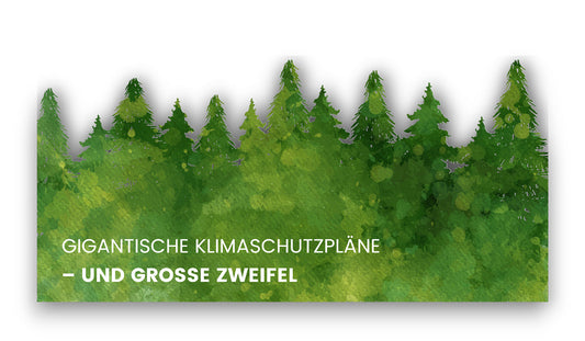 Gigantische Klimaschutzpläne – und große Zweifel: Wie Milliarden für Aufforstung in Brasilien zur Täuschung werden könnten