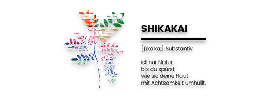 Die Wunderpflanze Shikakai in der Naturkosmetik: Naturinhalt mit viel Naturkraft. Jetzt im Rundum Blog von biorundum